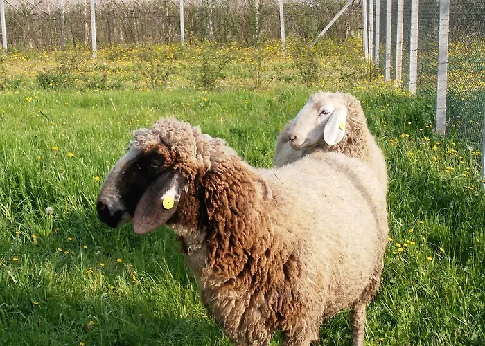 Bauernhof La Casetta Affi