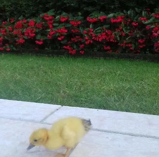 La Casetta Bauernhof