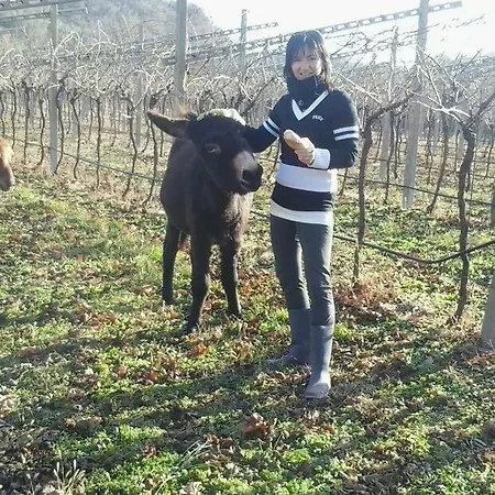 Alloggio per agriturismo La Casetta *