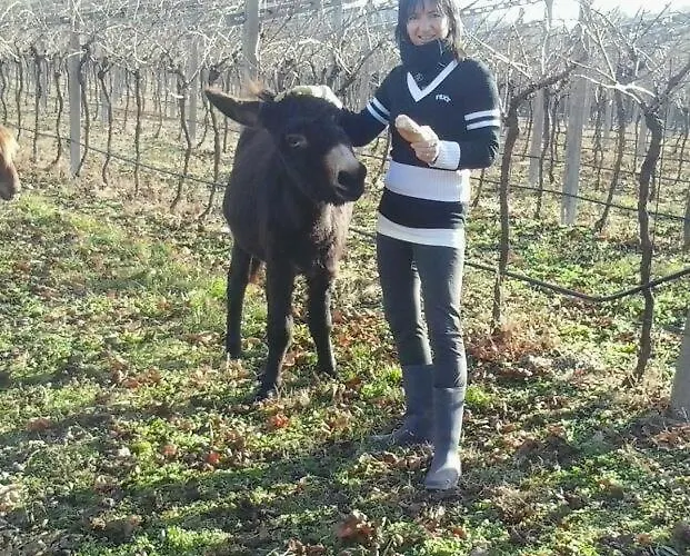 Farm stay La Casetta *