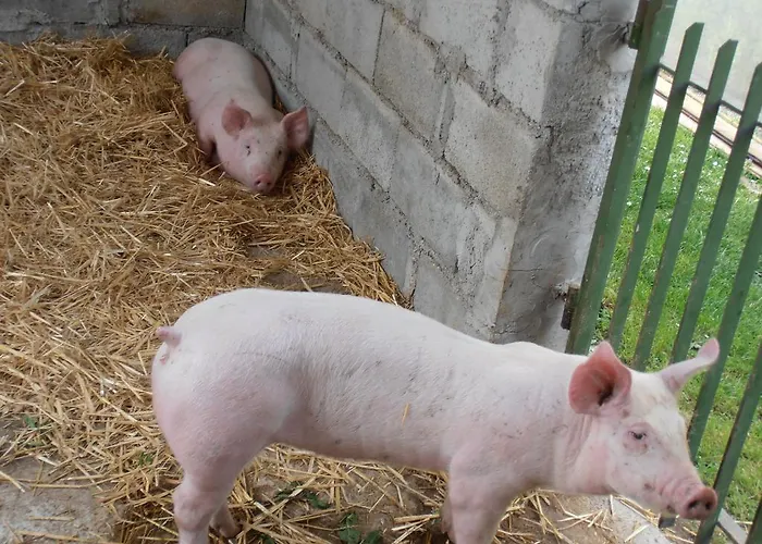 Agroturismo La Casetta *